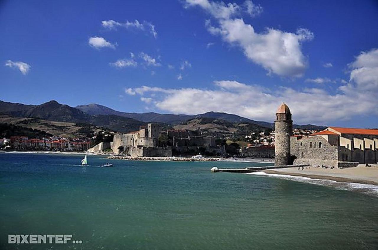 Mas Badie Villelongue-dels-Monts Dış mekan fotoğraf